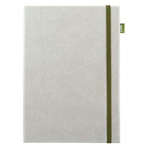 Daily diary 2023 Silky A5 - green