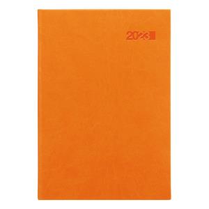 Daily diary 2023 Viva A5 - orange