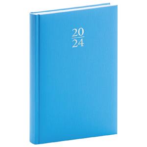 Daily Diary 2024 A5 Capys - blue