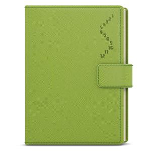 Daily Diary 2024 Ctirad with cutout- Manager color A5 - Green