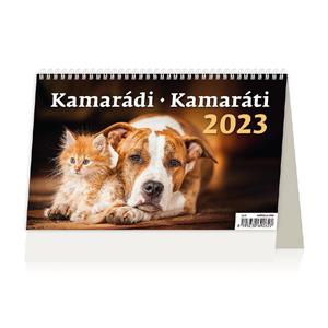 Desk Calendar 2023 - Firends