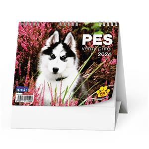 Desk Calendar 2024 IDEAL - Dog - Loyal Friend/with Dogs names