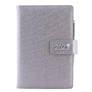 Diary BRILIANT daily A5 2023 Polish - silver