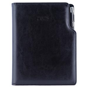 Diary GEP with ballpoint daily A5 2025 Czech - black/black velvet