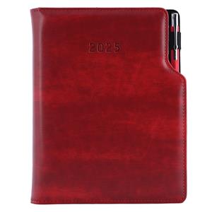 Diary GEP with ballpoint daily A5 2025 Czech - bordeaux brindled