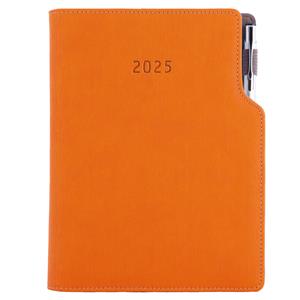 Diary GEP with ballpoint daily A5 2025 Czech - orange