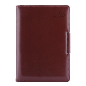 Diary METALIC daily B6 2023 - brown