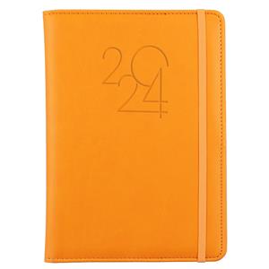 Diary POLY daily A5 2024 Czech - orange