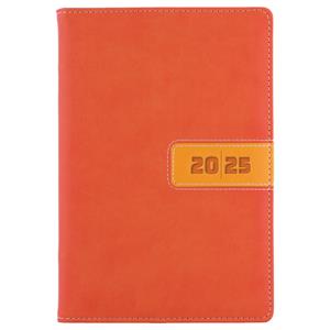 Diary RIGA daily A5 2025 Czech - orange