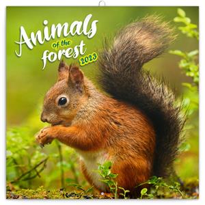 Wall Calendar 2023 Animals of the forest