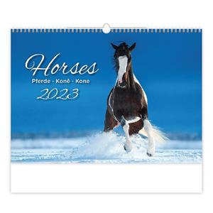 Wall Calendar 2023 - Horses