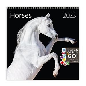 Wall Calendar 2023 - Horses