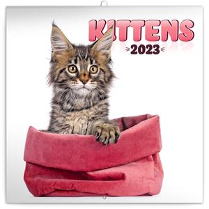 Wall Calendar 2023 Kittens