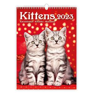 Wall Calendar 2023 - Kittens