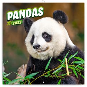 Wall Calendar 2023 Pandas