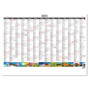 Wall Calendar 2023 - Planning yearly map A1 Picture