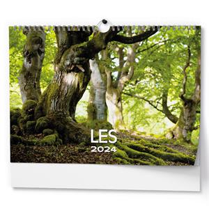 Wall Calendar 2024 Forest