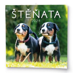 Wall Calendar 2024 Puppies