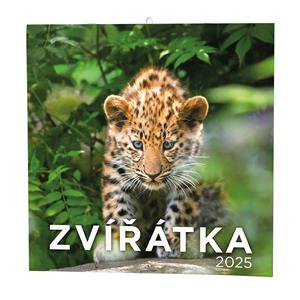 Wall Calendar 2025 Animals