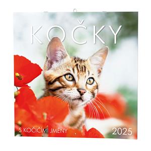 Wall Calendar 2025 Cats