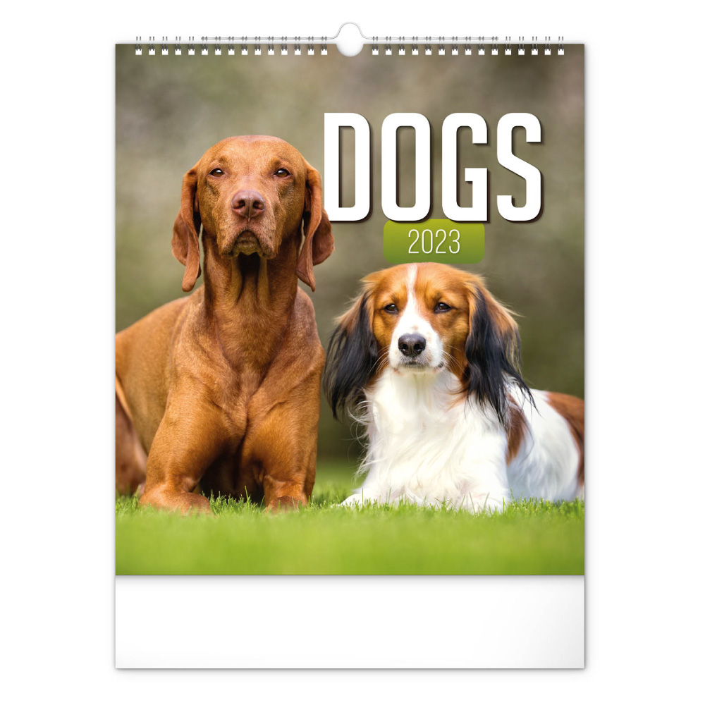 Wall Calendar 2025 Dogs AAAcalendar