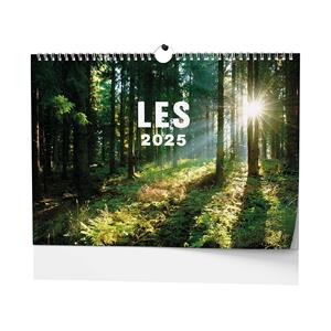 Wall Calendar 2025 Forest