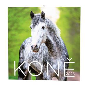 Wall Calendar 2025 Horses