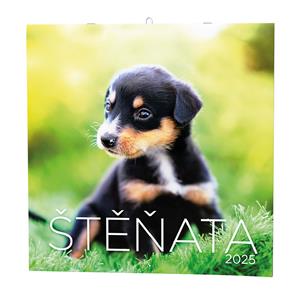 Wall Calendar 2025 Puppies