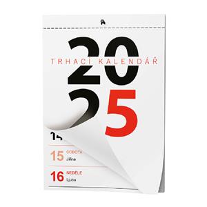 Wall Calendar 2025 Tear-off calendar A5