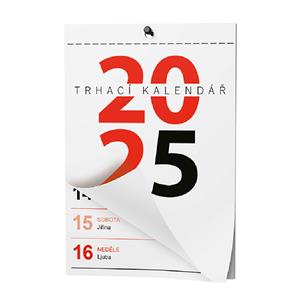 Wall Calendar 2025 Tear-off calendar A6