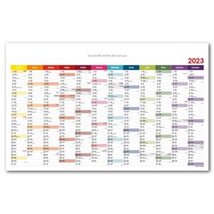 Wall planning map 2023 CZ - 80x100 cm - color