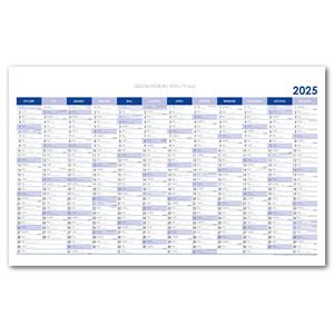 Wall planning map 2025 PL 100 x 63 cm - blue