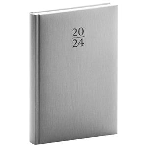 Weekly Diary 2024 A5 Capys - silver